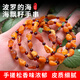 Xinxiangdu Natural Baltic Sea Raw Stone Sea-Drifted Seeds Blood Amber Bracelets for Men and Women Blood Amber Separated Beads Sea-Drifted Seeds Bracelet Approximately 7+mm 4g