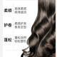 Ji Zhihui elastic female curly hair moisturizing curl anti-frizz fluffy moisturizing perm special no-wash hair care