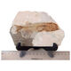 2025 new Liaoxi natural wolf fin fish fossils placed in stone animals retro paleontology science popularization specimens DB1047 with bracket