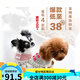 Japanische Radica -Haustierkleidung kleine und mittelgroße Hunde und Katzen Universal Hundekleidung Frühling, Sommer, Herbst und Winter Kleidung gebrochener Code gelb/11981 L