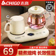 Chigo Health Pot Mini Household Fully Automatic Constant Temperature Tea Making Teapot Glass Kettle Boils Water and Stews All-in-One Small Health Pot Fully Automatic Constant Temperature Tea Maker Gift Box 0.8L Pot + 400 Cups + 304 Filter