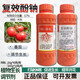 Guoguang Chongfeng Sodium Nitrophenolate Tomato Early Flowering Prevents Flower and Fruit Falling to Promote Growth Plant Growth Regulator 500ml*10 Bottles