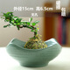 
Wholesale non-porous rice and bamboo hydroponic flower pot ceramic petal moss ball flower pot Jianshan green plant calamus Brazil wood bonsai TX small flat mouth JW1098 gray sand ceramic medium
