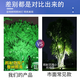 Yaming tree light landscape LED hit light RGB tree garden garden greening outdoor waterproof colorful floor lamp Yaming genuine-300W monochrome white light-foot tile thickening-IP6624