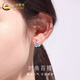 CHINA GOLD pt950 platinum lucky four-leaf clover earrings women's platinum earrings Valentine's Day birthday gift for girlfriend and lover pt950-four-leaf clover earrings white about 1.2g