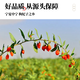 【修正】枸杞子 50g/袋 宁夏中宁枸杞免洗 泡茶煮水泡酒养生 中药饮片 中药零食 养生零食
