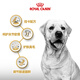 Royal Dog Food Labrador Adult Dog Food Dog Food Pet Large Dog LR30 Full Price Dog Food 15 3KG