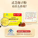 Beijing Tongrentang [Sitio web oficial auténtico] Break Wall Ganoderma Lucidum Spore Powder Oil Changbaishan Ganoderma Lucidum Spore Powder Beijing Tongrentang_Blue Certificación Ganoderma Lucidum Polvo 2 cajas 80G [Recuperar salud]