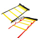 
Weedun football training equipment agile ladder basketball footstep jumping grid ladder agile ladder rope ladder soft ladder training ladder children's model 4 meters 8 sections + bag + 5 logo discs