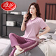Langsha Pajamas Coton féminin pur pantalon à manches courtes Summer 2025 NOUVELLE CENSEMENT HOME SET CASSORAD, confortable et simple, peut être porté à l'extérieur de la poudre de pâte de haricot 7374 2xl 140-160jin [Jin est égal à 0,5 kg]