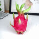Dragon fruit seeds are easy to grow in the courtyard and balcony, indoor and outdoor potted plants for home planting of four seasons vegetables and fruits. Dragon fruit seeds, five packs, about 300 capsules