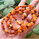 Xinxiangdu Natural Baltic Sea Raw Stone Sea-Drifted Seeds Blood Amber Bracelets for Men and Women Blood Amber Separated Beads Sea-Drifted Seeds Bracelet Approximately 7+mm 4g
