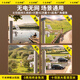 Qianmi Shenyan solar triple lens 4G monitor camera panoramic ultra-high definition night vision room outdoor 360 degrees without dead angles, no electricity, no grid life-long traffic mobile phone remote plug-in [Send 99 years of free traffic 128G] Double panel solar robotic arm triple lens [ten-year warranty]