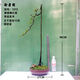 Sichuan golden marble grafting ripe pile Chongqing old pile fruit mother pile bonsai tree stump golden egg blood red fruit gourd fruit No. 1047 grafting 5 blood red fruit Delivery with pots Good for planting with pots