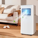 
Haier Mobile Air Conditioner Large 1 Piece Single Cold Mobile Air Conditioner All-in-One Machine Without External Devices Free Installation Dormitory Kitchen Rental Living Room Small Air Conditioner KY-20/J