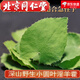 Peking Tongrentang Gansu kleines Blatt-Epimedium Chinesische medizinische Materialien, die in Wein in tiefen Bergen, drei Zweigen und neun-Blatt-Gras-Schäferhäusern, wilde kleine Blatt-Epimedium-Blätter eingeweicht wurden [50 g]