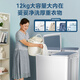 Midea double-tub washing machine semi-automatic 12kg large capacity double-tub first-class energy efficiency MP12S166 trade-in national subsidy OCC official flagship