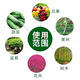 Yuntianhua Urea Fertilizer Quick-acting Nitrogen Fertilizer Vegetable Agriculture Water-soluble Fertilizer Organic Fertilizer Chemical Fertilizer Flower General Compound Fertilizer Small Particle Urea 10 Jin Jin equal to 0.5 kg Dispatch