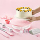 Pu Lian Nordic Color Cake Turntable Anti-slip Decoration Table Rotary Table Novice Cake Set Household Full Set Birthday Cake Decoration Turntable - Nordic Yellow Set 2 Color Box