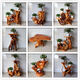 
Log root carving rack tree root natural ornament living room multi-layer bonsai rack fish tank solid wood base balcony 16868