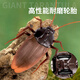 Shantoulin Village Internet célébrité induction électrique Cockroach pour enfants Toys Boys and Little Girls Black Technology Prank Discompression Artefact [Mini Version - Sensor Cockroach] Brown 9902A + Tournevis Norme officielle Standard