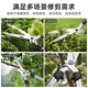 CLCEY gardening scissors, garden special tool for pruning thick branches, pruning flowers and greening tools, hedge shears, large scissors, extreme series - large blade straight blade hedge shears (rust-proof)