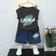 Escape Star Children's Shorts 9-14 Years Old Boy Sleeveless Vest Set Wearing Summer Thin Style Two-Piece Set in China White Vest T1049 + Black Shorts T1049 Small 90 cm Recommended height below 90CM