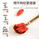 Zhongning Wolfberry, Red Wolfberry, Ningxia Special High Fruit Erstes neues Produkt 250 g*2 Dosen