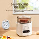 Egg cooker, steamer, electric steamer, small stewing and steaming all-in-one small steamer, omelette pot, small steamed egg artifact, household dormitory electric frying pan, small appliance, small electric cooker, double layer, with steamed egg rack + stainless steel custard bowl, 6 major functions
