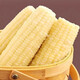 2025 Northeastern White Waxy Corn Vacuum Packed New Arrival Freshly Picked Farm-Grown Fresh Sweet Waxy Corn on the Cob Coarse Grain White Sweet Waxy Corn 3 Sticks 150-200g