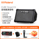 Roland CUBE-Street EX speaker outdoor road show portable playing and singing electric blowpipe electric guitar outdoor playing and singing speaker EX black + functional battery + trolley bag + Shure SM58S