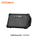 Roland CUBE-Street EX speaker outdoor road show portable playing and singing electric blowpipe electric guitar outdoor playing and singing speaker EX black + functional battery + trolley bag + Shure SM58S