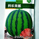 Rock sugar unicorn watermelon seeds extra large high yield red flesh spring sowing Zaojia 8424 super sweet original Zaojia 8424 original 5g