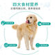 Baicui Liang Adult Dog Food 40 Jin Jin equals 0.5 kg. Packed Golden Retriever Corgi Teddy large and small dogs general type 20 kg same factory 0 kg. Period available 40 Jin Jin equals 0.5 kg Beef Egg Yolk Prebiotic