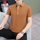 Pierre Cardin Sommer-Männer-Polo-Hemd kurzärmeliges T-Shirt mit Kragenhemd losen Respel atmungsablößere lässige einfache vielseitige, halbärmelige T 723 White M.