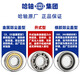 哈轴/HRB 6203-2RZ 哈尔滨深沟球轴承 胶封橡胶密封(防尘防水 高速耐磨 电机专用）17*40*12