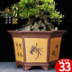 Yixing Purple Clay Orchid Pot Succulent Tree Old Pile Cliff Bonsai Pot Bureau Green Plant Céramique Flower Pot 693 Small