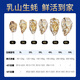 Bassling Fresh Rushan Ecological Oysters 4XL Net weight 9Jin Jin is equal to 0.5kg 17-23 pcs Freshly delivered directly from the source for New Year gifts