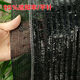Anti-aging sunshade net quality warranty 6 years 75 sunshade sunshade net flat knitted net vegetable melon greenhouse special sunshade net national standard flat woven net 756 meters wide 50 meters long 24 Jin [Jin equals 0.5 kg]
