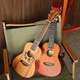 Er Jiagong Ukulele-Anfänger und Anfänger für die Einführung von Mädchen Vancouver 23-Zoll-Kleingitarren-Kindertag jagen Träume + Accessoires + Tuner + Baumwolltasche 23 Zoll