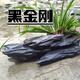 Fish tank stone ornamental stone original tank black gold fine schist turtle basking back schist landscaping platform fish tank climbing pet vacation 10Jin Jin equals 0.5kg small stone pile 5-10cm