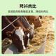Shangdefuguo calf fast growing calf fast growing feed additive to pull the skeleton and promote growth 500g/bag 1 bag