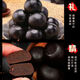 Genuine ginseng deer whip pills can be used with maca to nourish kidney yang, middle-aged and elderly men, Lycium barbarum, Cistanche, etc. Sika deer whip pills [9 pills] Recommended by the store manager