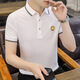 FJLT轻奢高档品牌polo衫男士T恤夏季新款时尚短袖翻领商务透气上衣 F6628（白色） XL (建议130-145斤)