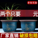宜兴紫砂兰花盆特大口径绿萝多肉老桩圆口专用陶瓷盆景盆 深蓝色 694中号两个