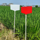 Benxinnongda ground brand plastic free combination gardening plant reminder card farm field test brand flower label white 120cm (1 piece)