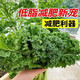 Tianfen kale seeds, four-season balcony cold-resistant edible olive vegetables, easy-to-grow potted high-calcium vegetable seeds in the field, high-nutrition green kale seeds, 100 capsules