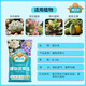 Dewoduo imported pure peat soil 8L horticultural plant nutrient soil universal flower growing soil vegetable soil orchid succulent seedlings