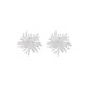 Dandelion Zircon Fireworks Earrings Niche High-end Exquisite Temperament Personalized Earrings 2025 New Ear Jewelry Dandelion Zircon Fireworks Earrings 1.5CM