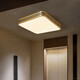 Leshi (NVC) 2025 new outdoor ceiling light insect-proof waterproof door light Chinese villa full copper entrance light garden terrace sun X3891/round 30CM/three colors adjustable